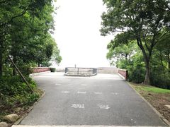 -上海滨江森林公园