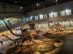 -自贡恐龙博物馆