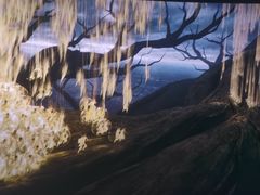 -CGV影城(卓悦中心 IMAX激光店)