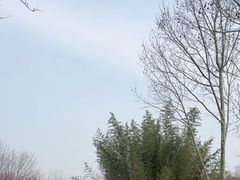-江苏三台山国家森林公园