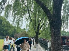 -西湖游船