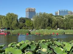 -西海子公园