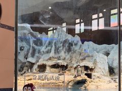 -帝企鹅自助餐厅•儿童岛•真企鹅(长隆企鹅酒店)