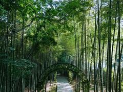 -杭州黄龙洞