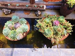-炊烟餐厅