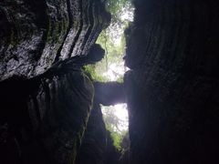 -梦幻奥陶纪景区