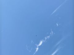 -木塔寺遗址生态公园