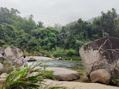 -海南热带雨林国家公园吊罗山景区