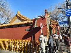 -天泽祥·鼓楼馒头(鼓楼店)
