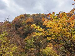 -光雾山旅游景区