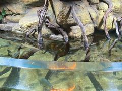 -邯郸海洋世界