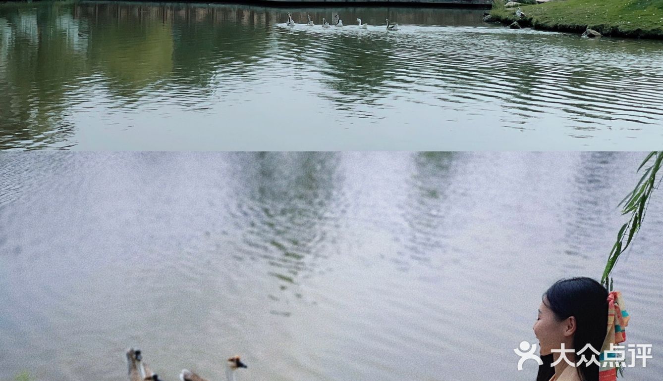 小长假绿色出行指南！野餐、遛娃、拍照📷好去处！[亲亲]