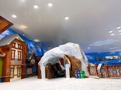 -湘江欢乐城欢乐雪域