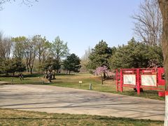 -五环公园
