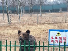 -秦皇岛野生动物园
