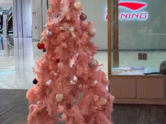 -爪爪喵星球·猫舍(卓悦中心店)