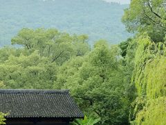 -习家池