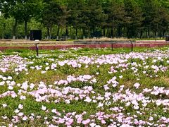 -汉长安城未央宫国家考古遗址公园