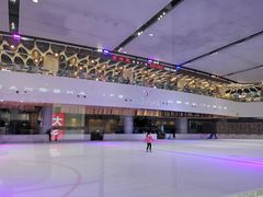 -TheRink大零溜冰场(IFS国金中心店)