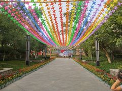 -成飞公园