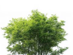 -享等你烤肉(万家丽店)