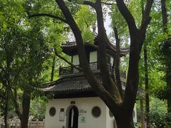 -汇龙潭