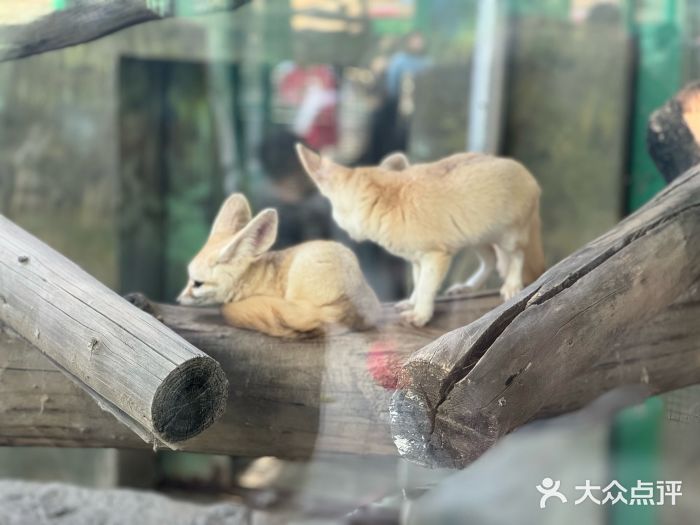 郑州市动物园图片