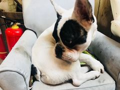 -小时光咖啡馆(北锣鼓巷店)