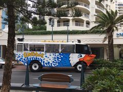 -黄金海岸