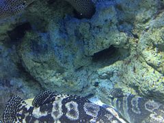 -福州罗源湾海洋世界旅游区