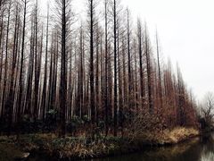 -上海怡沁园度假酒店