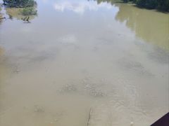-崖口红树林海鲜餐厅