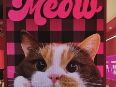 -K22.酸奶草莓(长春上海路万达店)