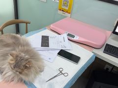 -嘉馨宠物医院·CT影像转诊·心脏科·犬猫全科诊疗中心(下沙大学城院区)