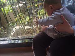 -一叶觅山(半边街店)