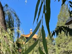 -东华门大街小区