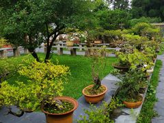 -庐山风景区花径公园