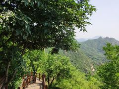 -大岭沟猕猴桃谷风景区