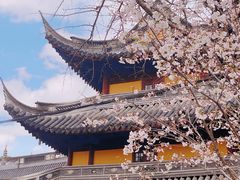 -龙华寺