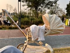 -两河城市森林公园