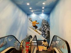 -湘江欢乐城欢乐雪域