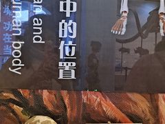 -辽宁古生物博物馆