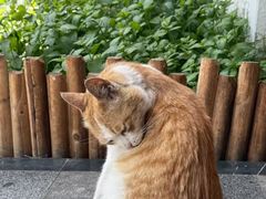 -兰亭茶叙(新新家苑店)