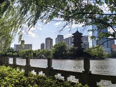 -迎泽公园