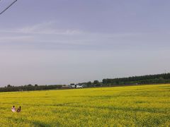 -北京上庄水库尚野露天户外自助烧烤