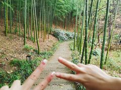 -天目湖涵田度假村