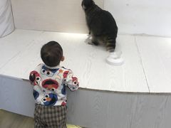 -浣熊柯尔鸭土拨鼠·电玩咖