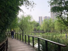 -沐仙湖湿地公园