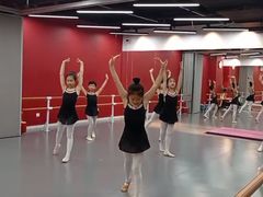 -舞霖精灵国际舞蹈教育中心(华创生活广场店)