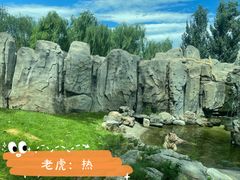 -北京野生动物园